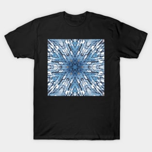 BLUE LENTILS T-Shirt